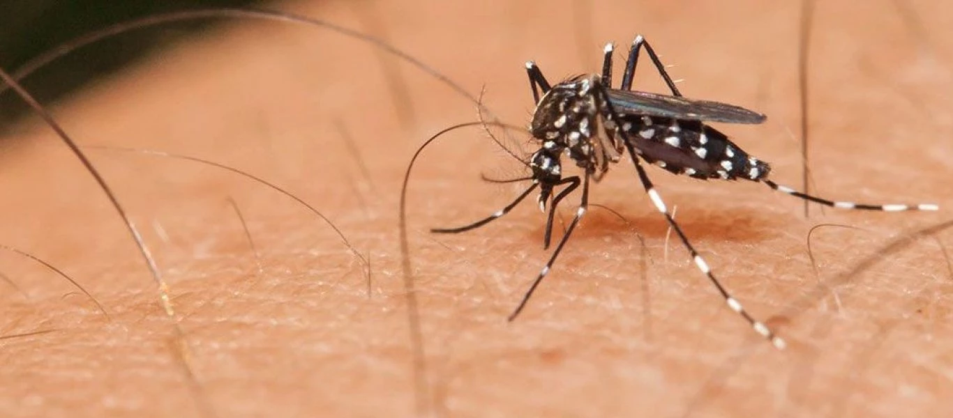 Ιος του Δυτικού Νείλου: 6 κρούσματα- 2 θάνατοι σε μία εβδομάδα